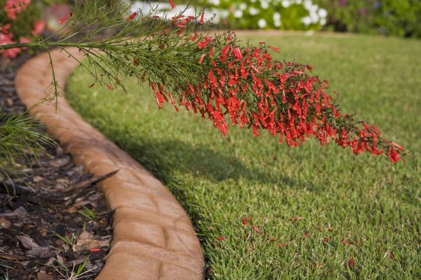 Brick Edging in Allen