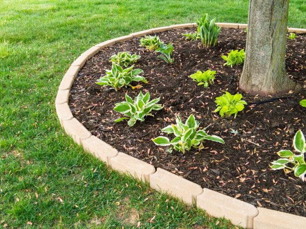 Stone Border Installation in Allen