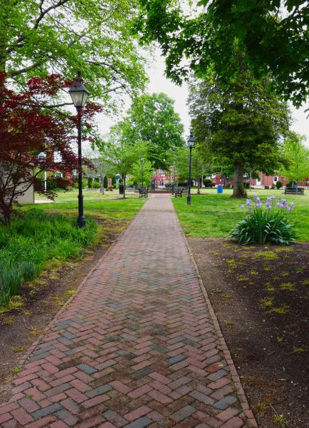 Brick Pathway Repair in Allen