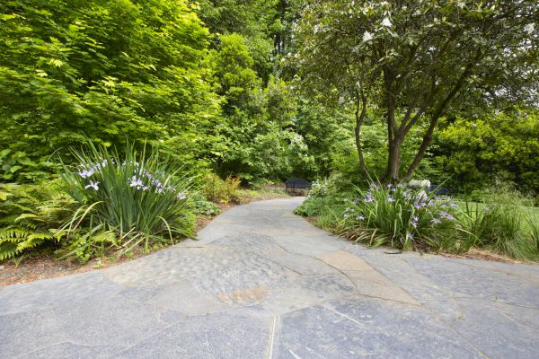 Stone Hardscape Service in Allen