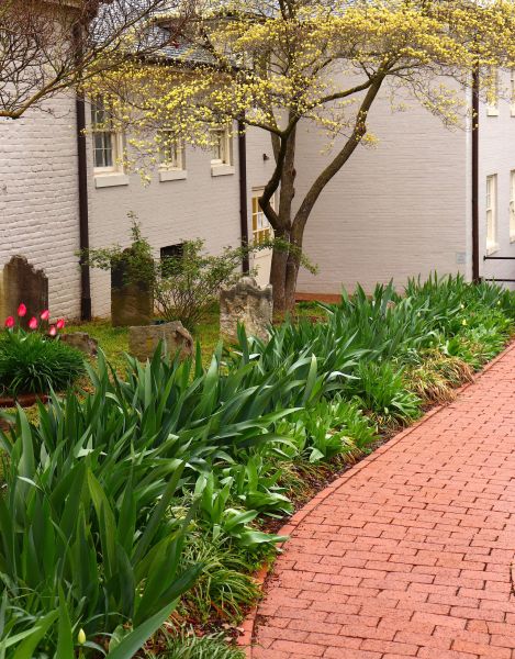 Brick Flatwork Repair in Allen